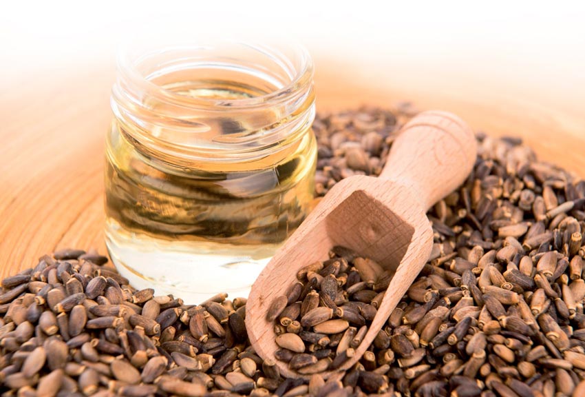 Evaluation-of-the-Compounds-of-Kajan-Milk-Thistle-Oil